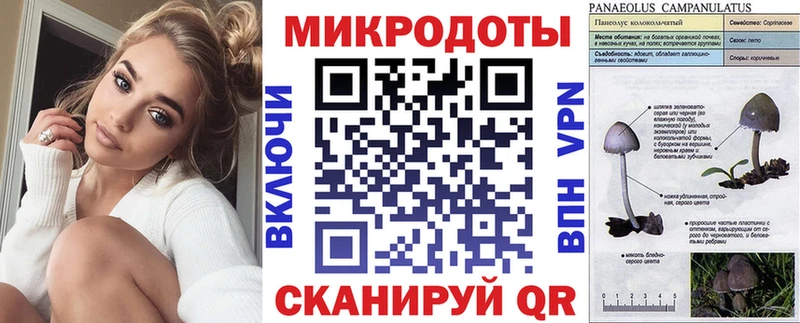 хочу наркоту Трубчевск Псилоцибиновые грибы Psilocybine cubensis